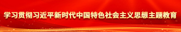 rb艹我啊啊用力学习贯彻习近平新时代中国特色社会主义思想主题教育